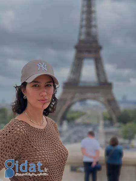 دنیز دانش صمدی, بیوگرافی دنیز دانش صمدی