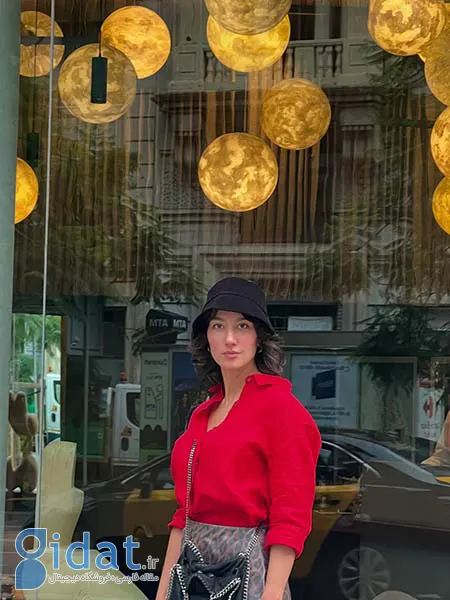 دنیز دانش صمدی, بیوگرافی دنیز دانش صمدی