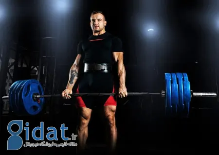 انواع هالتر, هالتر استاندارد