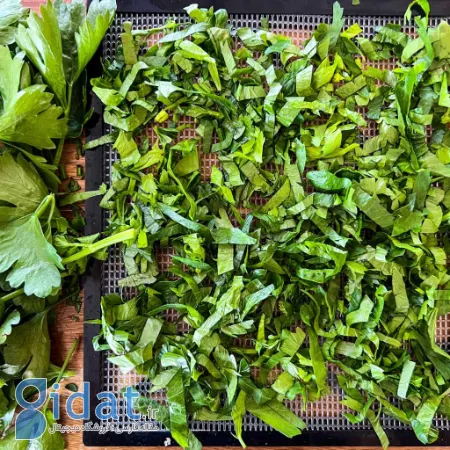 خشک کردن برگ کرفس, طرز خشک کردن برگ کرفس
