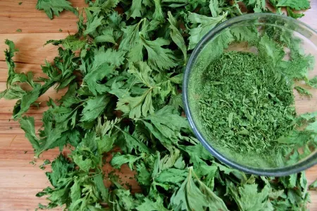 خشک کردن برگ کرفس, طرز خشک کردن برگ کرفس