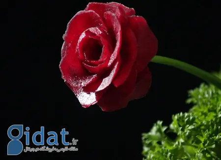 لبو شب یلدا تزیین,تزیینات شب یلدا