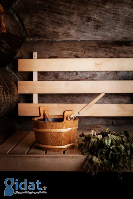 سونای فنلاندی, فرهنگ سونا