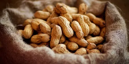 غذاهای سرطان‌زا, رژیم غذایی سالم برای پیشگیری از سرطان