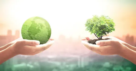 سرمایه‌گذاری در آمریکا, چگونه در آمریکا سرمایه‌گذاری کنیم