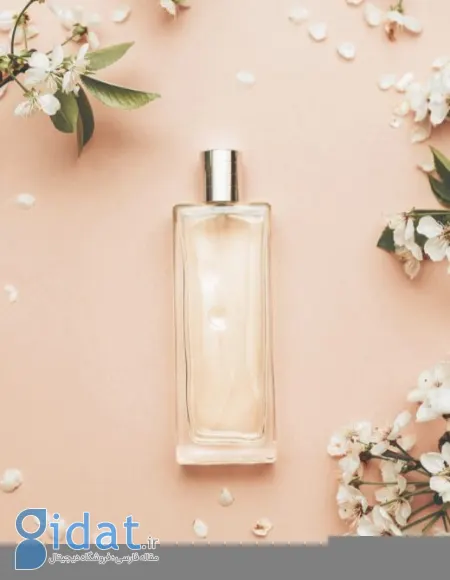 نکات ماندگاری بیشتر عطر و ادکلن