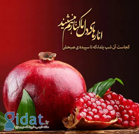 عکس های شب یلدا، تصاویر شب یلدا