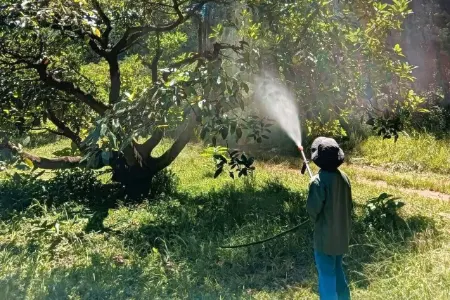 بهترین زمان سم‌پاشی نهال بادام, راهنمای سم‌پاشی نهال بادام