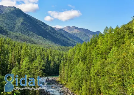زیباترین کپشن ها برای عکس های طبیعت و جنگل
