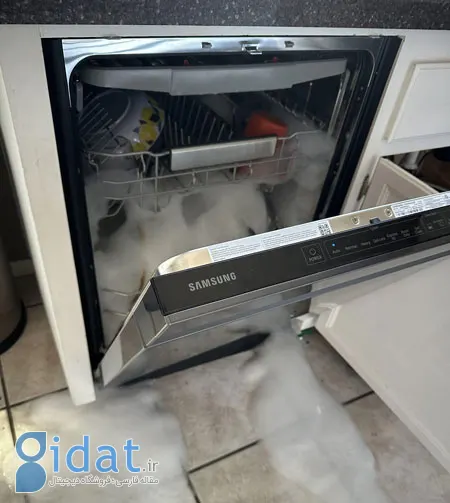 نشتی ماشین ظرفشویی, نشتی از زیر ماشین ظرفشویی