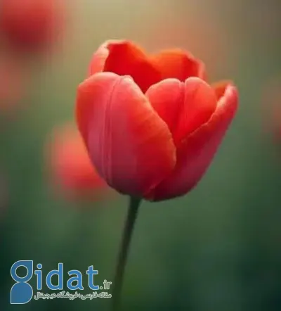 انواع تست های روانشناسی