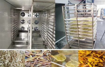 دستگاه خشککن میوه, میوه خشککن