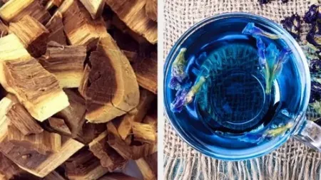 چای آبی معجزه آسا: فواید پالو آزول برای بدن
