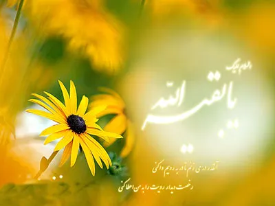 نیمه شعبان,ولادت حضرت مهدی (عج),تولد حضرت مهدی (عج)