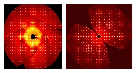 عمر یاغی, نوبل شیمی