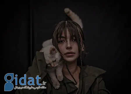 بیوگرافی ستایش دهقان, زندگی نامه ستایش دهقان
