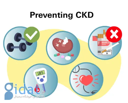 کلیه‌هایتان را قبل از از کار افتادن نجات دهید: ۱۰ نکته حیاتی