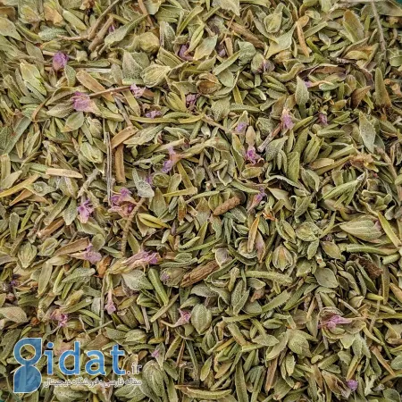 خواص گیاه تیول, گیاه تیول چیست
