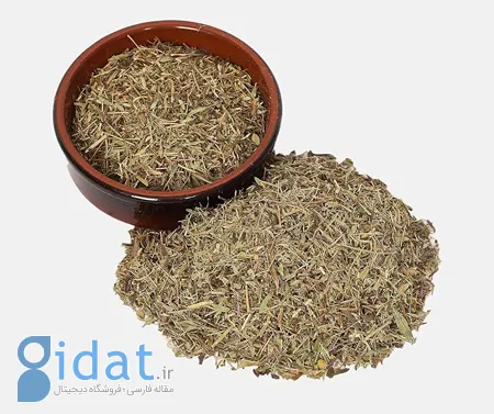 خواص گیاه تیول, گیاه تیول چیست