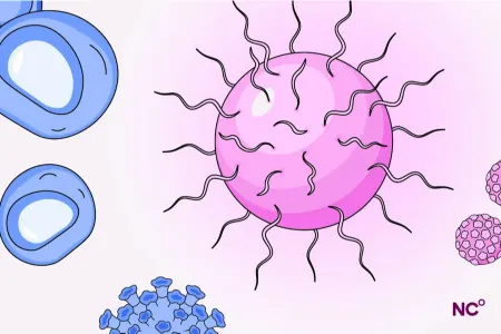 عفونت‌های مقاربتی, انواع عفونت‌های منتقله از راه جنسی