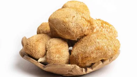 طرز پخت قارچ برای سالاد, استفاده از قارچ در سس‌ها