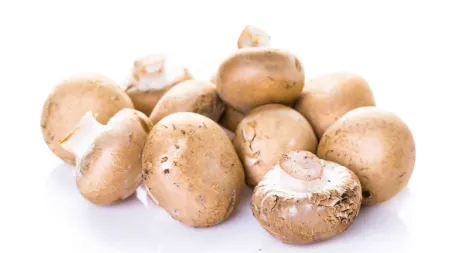 طرز پخت قارچ برای سالاد, استفاده از قارچ در سس‌ها