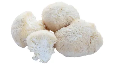 طرز پخت قارچ برای سالاد, استفاده از قارچ در سس‌ها