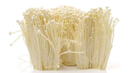 طرز پخت قارچ برای سالاد, استفاده از قارچ در سس‌ها