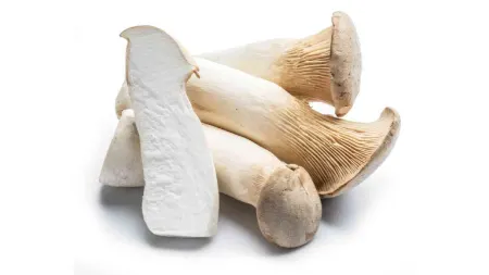 طرز پخت قارچ برای سالاد, استفاده از قارچ در سس‌ها
