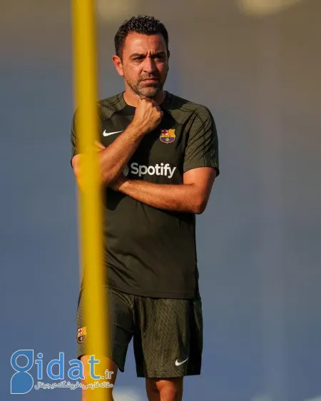 افتخارات ژاوی هرناندز