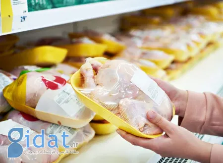 راه اندازی مرغ فروشی, شغل مرغ فروشی