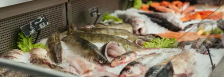 راه اندازی مرغ فروشی, شغل مرغ فروشی