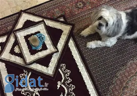 تقدس سجاده و نماز در اسلام