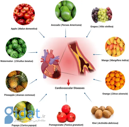 باز کردن رگ قلب, درمان طبیعی تصلب شرایین