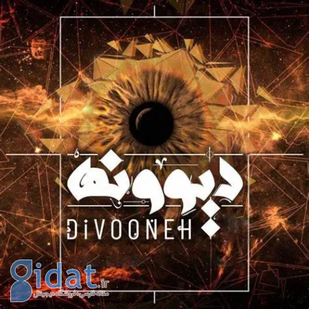 آهنگ دیوونه محسن چاوشی, شعر آهنگ دیوونه