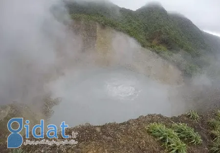 مرگبارترین دریاهای جهان, خطرناک ترین مکان برای شنا به دلیل کوسه ها