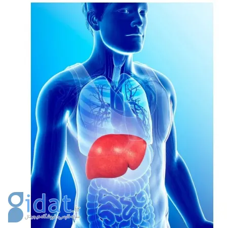 ارتباط گردن درد و کبد چرب, درمان گردن درد