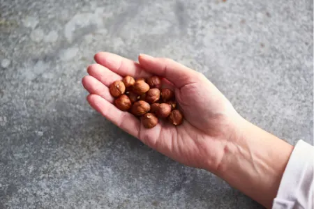 خواص مغذی فندق برای زنان باردار