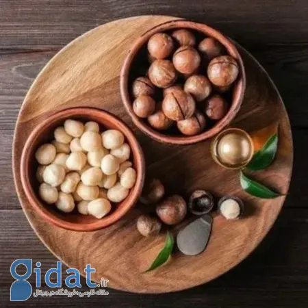 فندق و تقویت سیستم ایمنی جنین