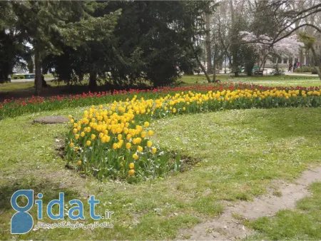 جاذبه‌های گردشگری وارنا, پارک ساحلی وارنا