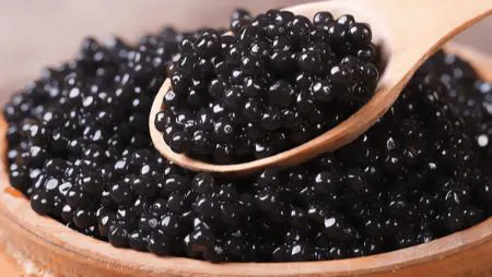 دانشمندان یک ماهی خاویاری نر را به یک ماهی خاویاری ماده تبدیل کردند