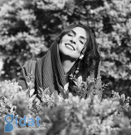 بیوگرافی شیوا مکی‌نیان, همسر ارسطو پایتخت