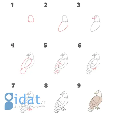 یادگیری نقاشی عقاب مخصوص کودکان