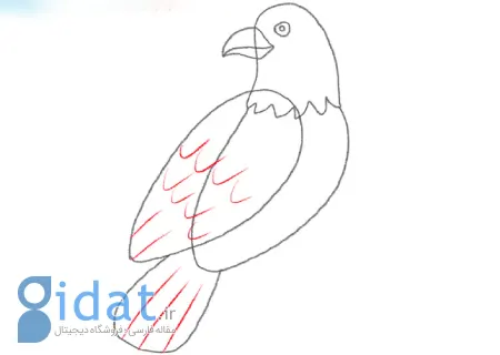 آموزش نقاشی حیوانات پرنده برای بچه‌ها