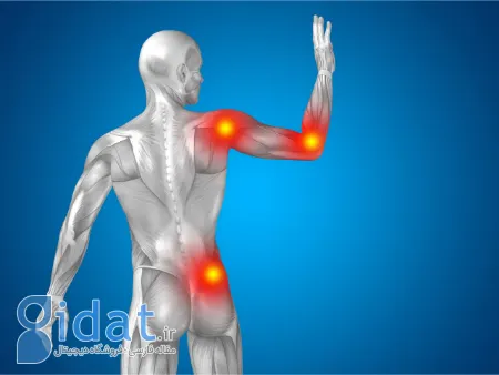 غذاهایی که باعث التهاب میشود, مواد غذایی مضر برای التهاب