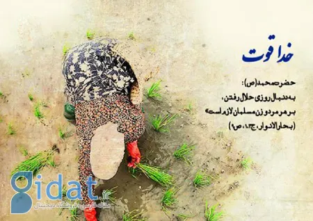 احادیثی از ائمه درباره کسب روزی حلال