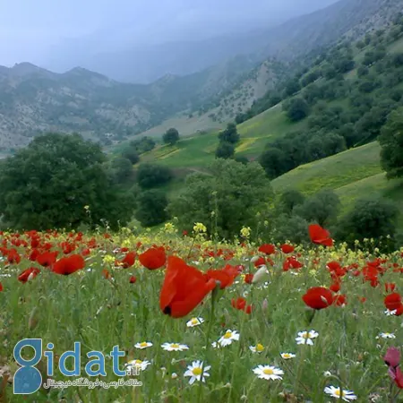 تپه گردرویش ایلام, آثار باستانی ایلام