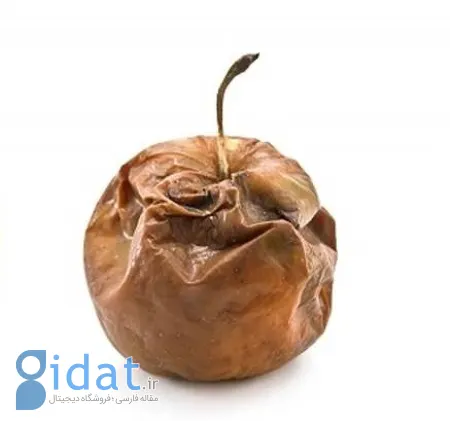 آب میوه فاسد: نجاست یا پاکی؟ یک بررسی فقهی و علمی