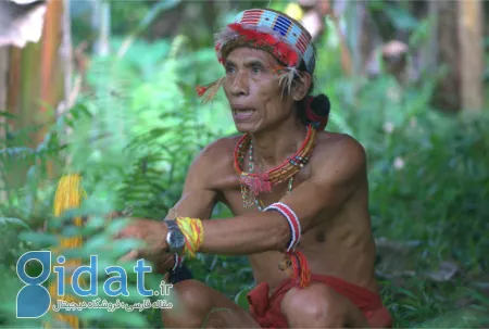 جزایر منتاوی, سوماترا بومی