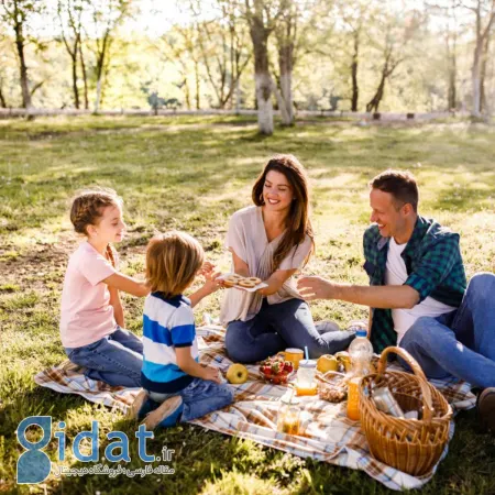 سرگرمی خانوادگی, فعالیت‌های خانوادگی